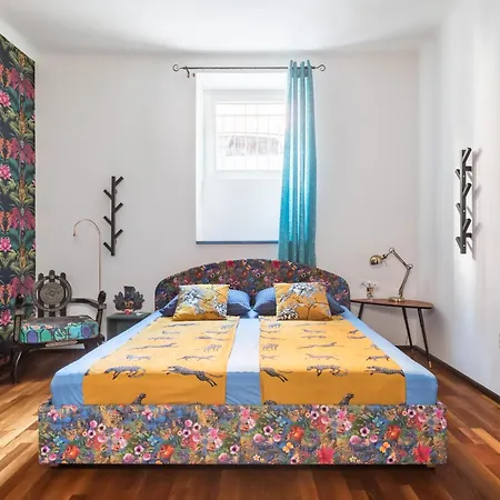 Charming Funky In Center Of Daire Split